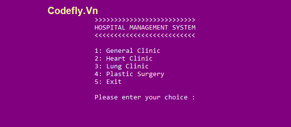 Hệ thống quản lý bệnh viện bằng C++ với mã nguồn