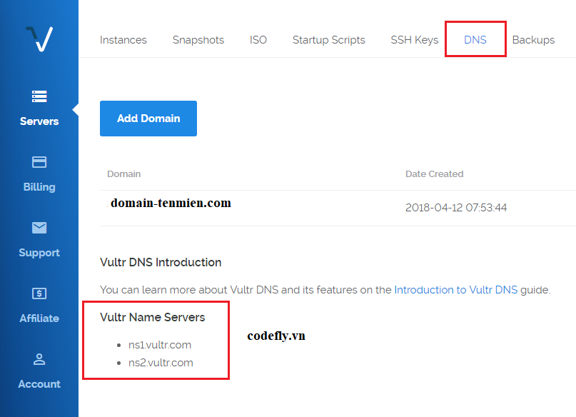 Bạn tìm DNS trong vps để lấy Name Servers
