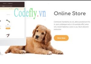 Grooming – Pet Shop & Veterinary Physician WordPress Theme